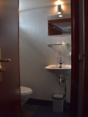 Blick in ein Badezimmer mit Toilette, Waschbecken und Spiegel in einer Twin-Kabine auf der MS Flora