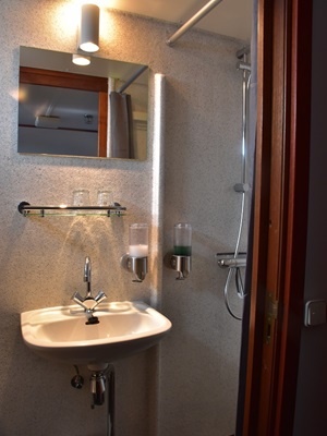 Blick in ein Badezimmer mit Dusche, Waschbecken und Spiegel in einer Zwei-Bett-Kabine der MS Flora