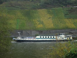 Die MS Flora vor einem Weinberg auf der Mosel