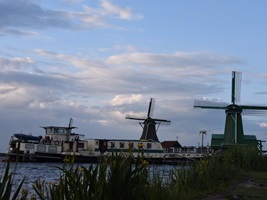 Die MS Flora vor zwei Windmühlen in Zaanse Schans