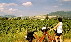 Eine Frau steht neben zwei abgestellten Rädern und blickt über ein Feld zu einer Stadt