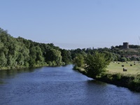 Wunderschöne Flusslandschaft am Oder-Havel-Kanal mit Bäumen und trocknenden Heuballen.