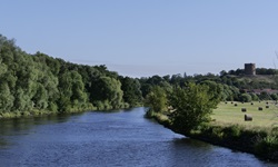 Wunderschöne Flusslandschaft am Oder-Havel-Kanal mit Bäumen und trocknenden Heuballen.