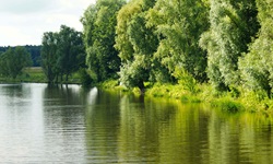Herrlich idyllische, von Bäumen gesäumte Flusslandschaft am Oder-Havel-Kanal.