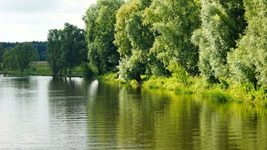 Herrlich idyllische, von Bäumen gesäumte Flusslandschaft am Oder-Havel-Kanal.