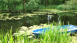 Ein kleines blaues Ruderboot dümpelt zwischen Seerosenblättern und Schilf im Wasser des Oder-Havel-Kanals.