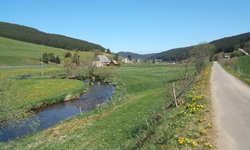 Der Vöhrenbach bei Furtwangen begleitet die Radstrecke durch den Nordschwarzwald ein Stück weit.