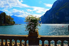 Wunderschöner Blumenschmuck auf einer Balustrade am Gardasee