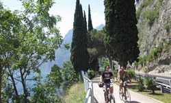 Zwei Radfahrer fahren auf einem asphaltierten Weg einen Berg am Gardasee hinauf