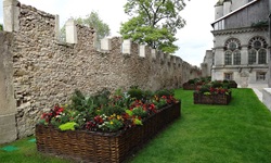 Wunderschöner Blumenschmuck in den von einer zinnenbewehrten Mauer begrenzten Gärten der Kathedrale von Toul.
