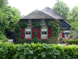 Blick auf ein mit Efeu bewachsenes Haus in Giethoorn