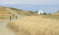 Zwei Fahrradfahrer auf ihren MTB´s radeln einen breiten Weg, der durch Felder führt, entlang