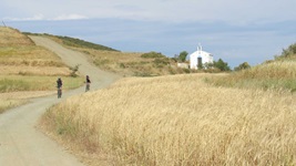Zwei Fahrradfahrer auf ihren MTB´s radeln einen breiten Weg, der durch Felder führt, entlang