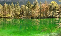 Der Bluntautaler See bei Golling