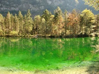 Blick auf den grünlichen Bluntautaler See bei Golling