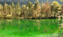 Blick auf den grünlichen Bluntautaler See bei Golling