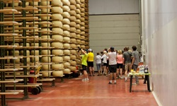 Eine Gruppe Touristen bestaunt die zum Reifen aufgestapelten Grana-Padano-Käselaibe in einer Käserei.