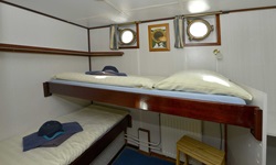 Eine 2-Bett-Kabine mit einem erhöhten Bett an Bord der MS Jan van Scorel.
