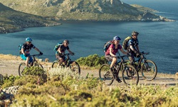 Vier Mountainbiker radeln an einer Steilküste einen breiten Trail entlang