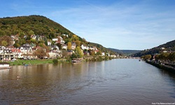 Der Neckar bei Heidelberg.