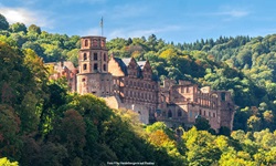 Das idyllisch inmitten eines Laubwalds gelegene Heidelberger Schloss.