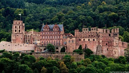 Die von Wald umrahmte Ruine des Heidelberger Schlosses.