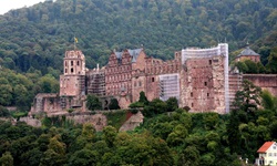Schöner Panoramablick auf das von Bäumen umringte Heidelberger Schloss.