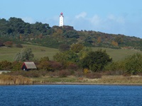 Blick auf den hoch auf dem Hügel ragenden Leuchtturm auf der Insel Hiddensee