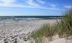 Mit Strandhafer bewachsener Ostseestrand auf Hiddensee.