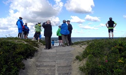 Eine Reisegruppe genießt den Blick auf die Ostsee.