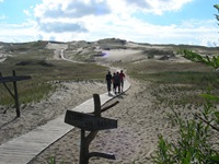 Eine Reisegruppe geht auf einem Holzsteg durch die unendlich erscheinenden Dünen der Kurischen Nehrung.