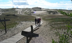 Eine Reisegruppe geht auf einem Holzsteg durch die unendlich erscheinenden Dünen der Kurischen Nehrung.
