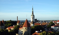 Schöner Blick auf Tallinn mit der Olaikirche und Teilen der Stadtmauer.
