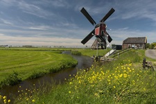 Blick auf eine traditionelle Windmühle in Südholland