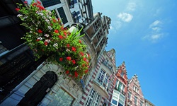 Blick auf eine gotische Häuserreihe mit einer Straßenlaterne, die bepflanzt ist, in Dendermonde in Holland