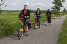 Drei Radfahrer radlen auf einem geteerten Radweg in Holland