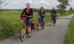 Drei Radfahrer radlen auf einem geteerten Radweg in Holland