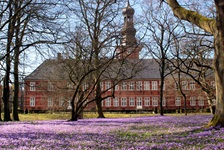 Das "Schloss vor Husum" mit Schlosspark und lila blühenden Blumen in Husum