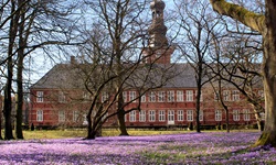 Das "Schloss vor Husum" mit Schlosspark und lila blühenden Blumen in Husum
