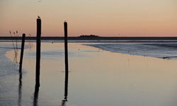 Sonnenuntergang am Wattmeer in Husum
