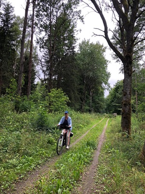 Eine Radfahrerin auf einem Waldweg auf der Radreise Danzig, Ermland und Masuren