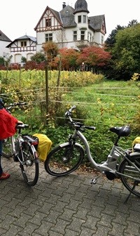 Leih-E-Bikes stehen auf einem Weg vor einem kleinen Weinrebenfeld, dahinter ein prächtiges Wohnhaus