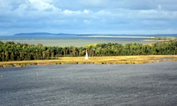 Blick auf eine Insel mit Wäldern an der Ostsee