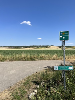 Grüner Wegweiser an einer Gabelung in der Landschaft der Radreise von Prag nach Wien