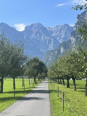 Blick auf den Radweg in einer Allee vor den Alpen auf der Alpenpanorama-Route in der Schweiz