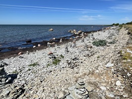 Blick auf den Steinstrand einer Insel in Estland bei der geführten Radreise "Höhepunkte des Baltikums"