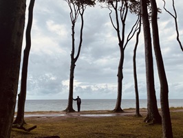 Ein Radfahrer lehnt mit einer Hand an einem Baum und blickt auf die Ostsee auf der Radreise am Ostseeküsten-Radweg von Lübeck nach Stralsund