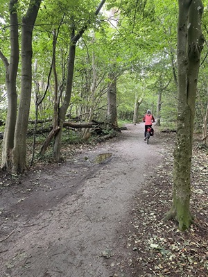 Eine Radfahrerin fährt auf einem Naturweg durch einen Laubwald an der Ostsee