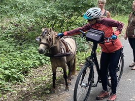 Eine Radfahrerin steichelt ein Pony, welches mit dem Langzügel und den Utensilien für die Kutsche vom Boden aus gefahren wird