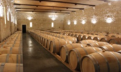 Unzählige Weinfässer lagern in den Kellern der vielen Weingüter im Bordeauxgebiet.